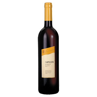 Campoleone Umbria igt vino rosso Lamborghini 2004 - Vini Rossi