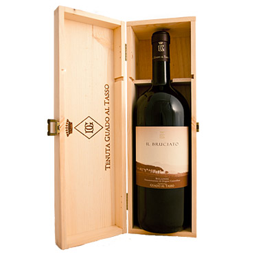 bruciato magnum tenuta bolgheri superiore doc red wine guado al tasso 2020 Tuscany - Magnum