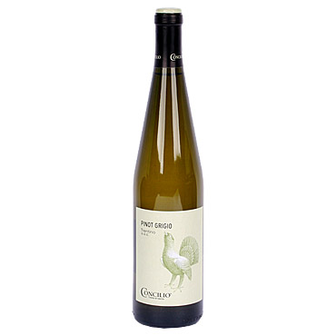 pinot grigio trentino doc vino bianco concilio 2016 - Vini Bianchi