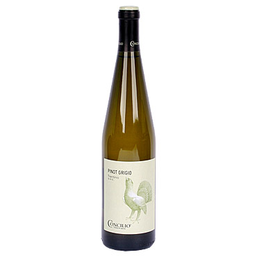 pinot grigio trentino doc white wine concilio 2016 Trentino - Italian white wines