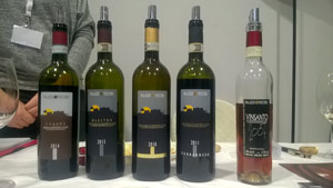 anteprima nobile montepulciano