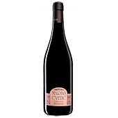 Marina Cvetic TABLE Red Wine ABRUZZI Cabernet Sauvignon Masciarelli  YEAR 1995