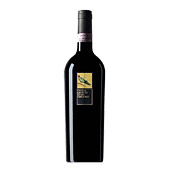 Selve Luoti taurasi docg vino rosso Feudi San Gregorio 1999