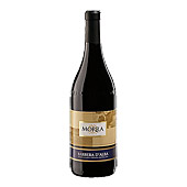 barbera d'alba selezione morra doc vino rosso toso 2012