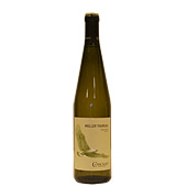 M?ller Thurgau trentino doc vino bianco concilio 2017 