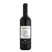 vigorello toscana igt red wine sanfelice 1999 Tuscany